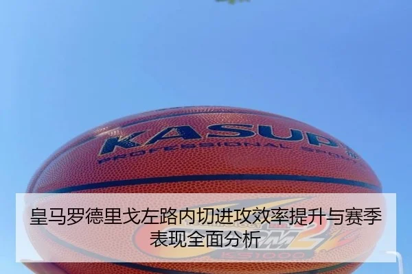 img_1781888490725_933_1_722.jpg